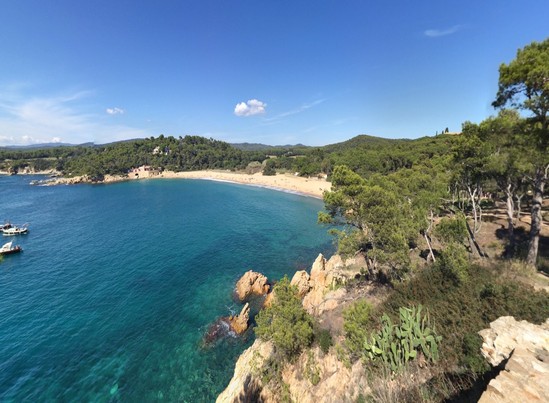 web Cala 1